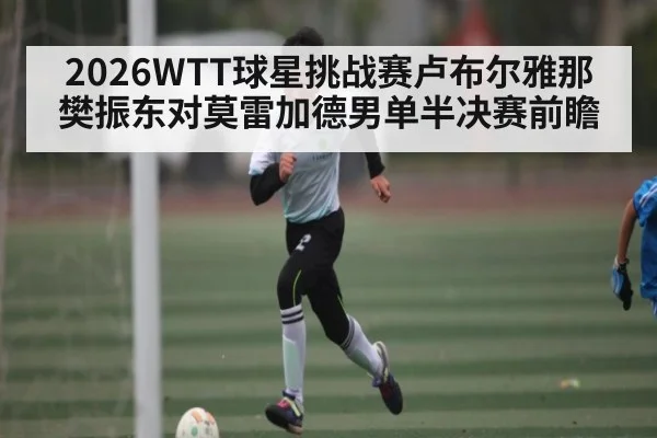 2026WTT球星挑战赛卢布尔雅那樊振东对莫雷加德男单半决赛前瞻
