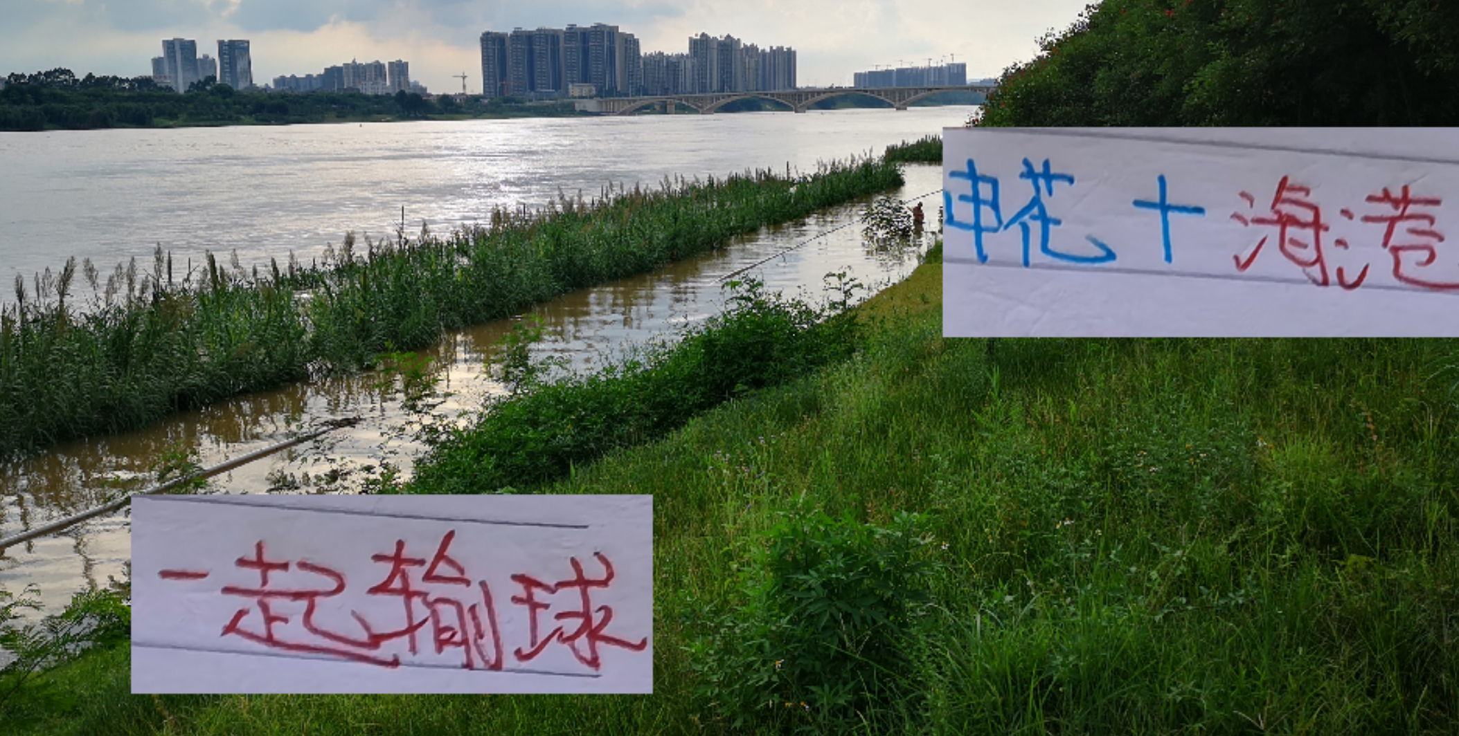 联赛还剩七轮！申花要逆天改命 主场打山东+成都 要不输球才行